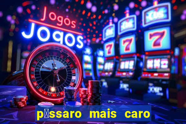 p谩ssaro mais caro do mundo