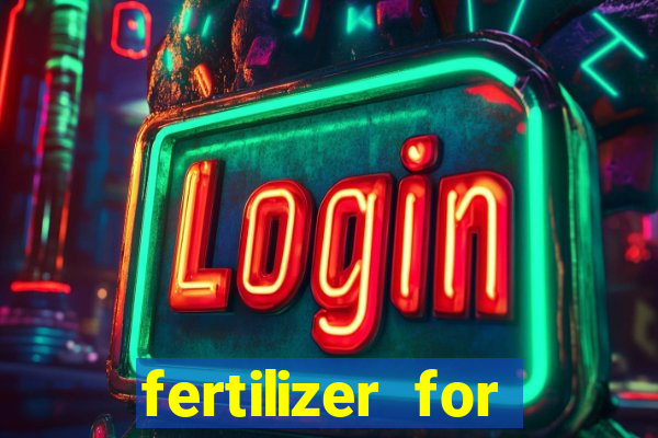 fertilizer for magnolia little gem