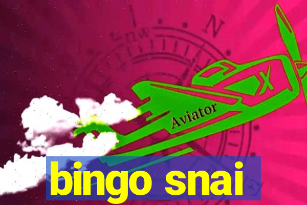 bingo snai