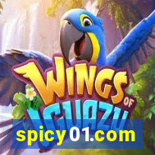 spicy01.com