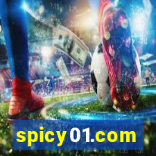 spicy01.com