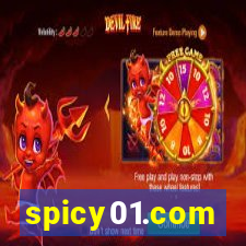 spicy01.com