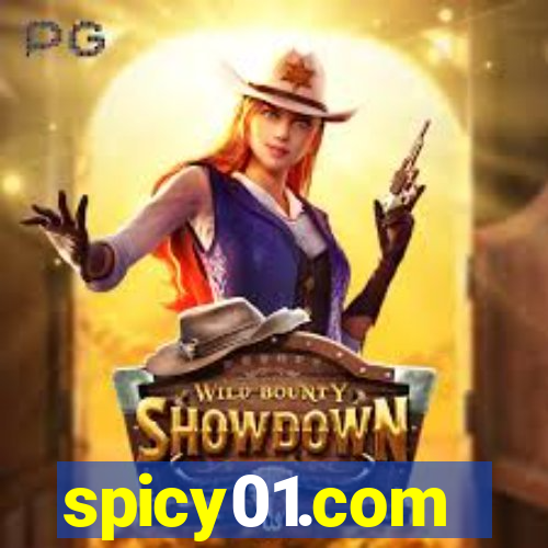 spicy01.com