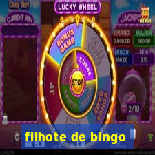 filhote de bingo