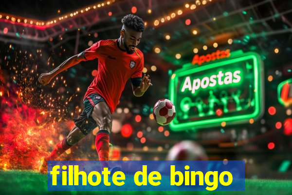 filhote de bingo