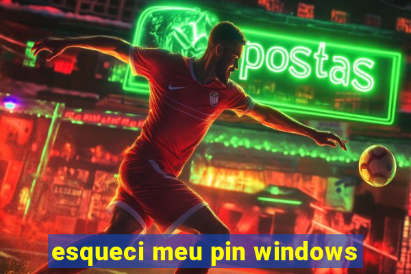 esqueci meu pin windows