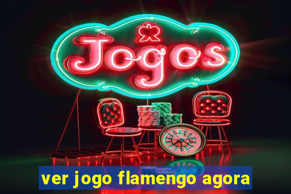 ver jogo flamengo agora