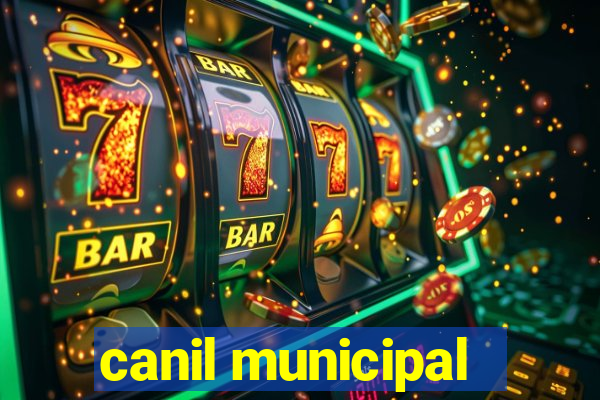 canil municipal