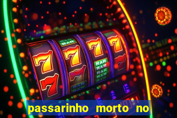 passarinho morto no quintal significado espiritual