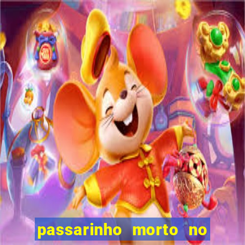 passarinho morto no quintal significado espiritual