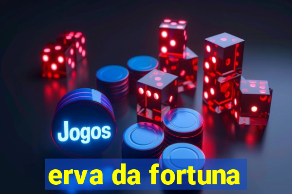 erva da fortuna