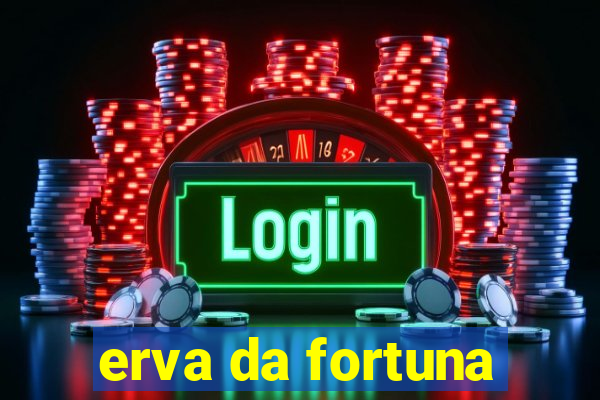 erva da fortuna