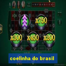 coelinha do brasil