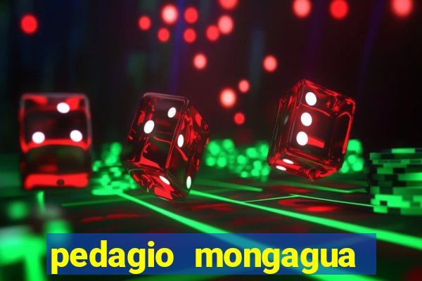 pedagio mongagua sao paulo