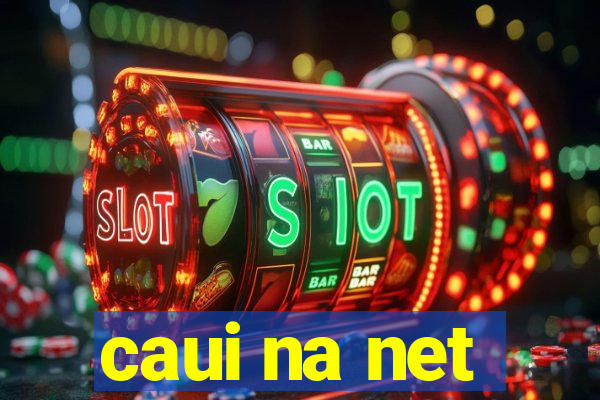 caui na net