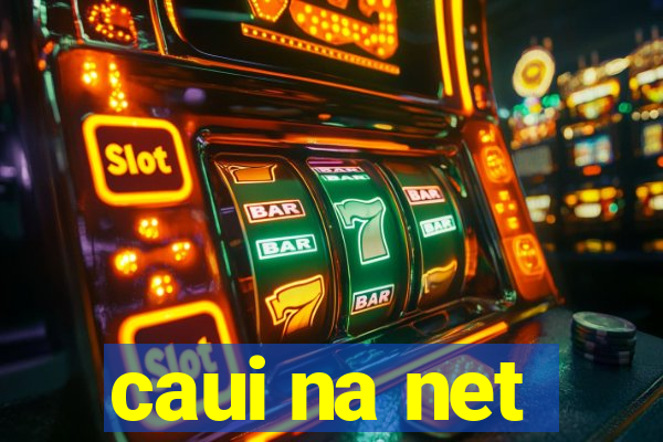 caui na net