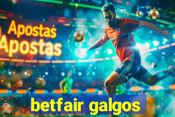 betfair galgos