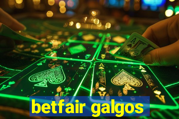 betfair galgos