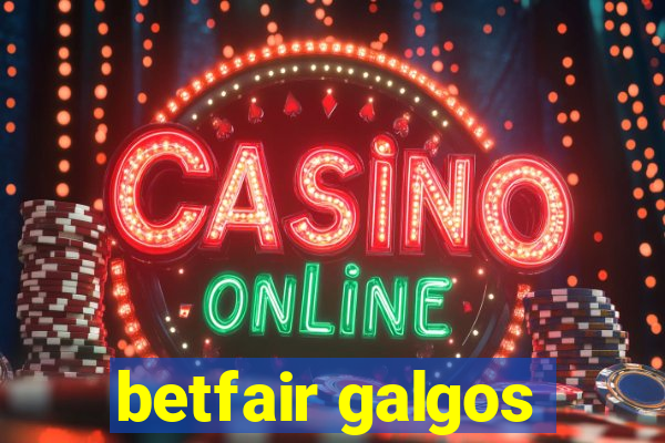 betfair galgos