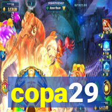 copa29