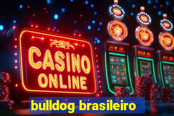 bulldog brasileiro