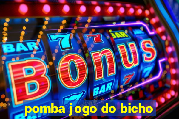 pomba jogo do bicho