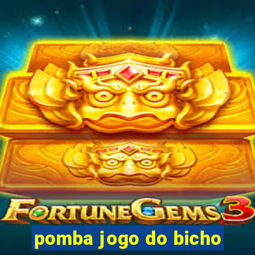 pomba jogo do bicho