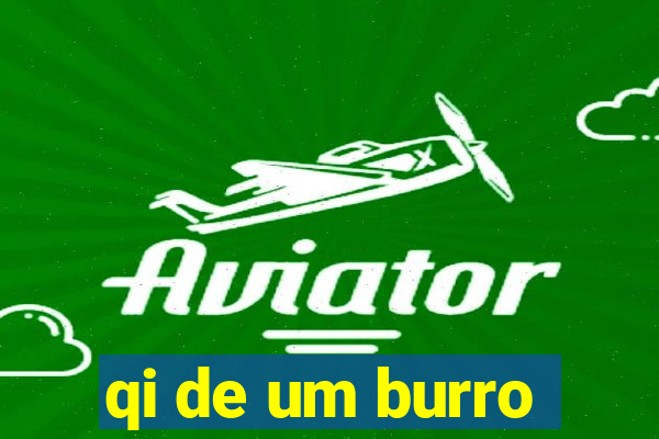 qi de um burro