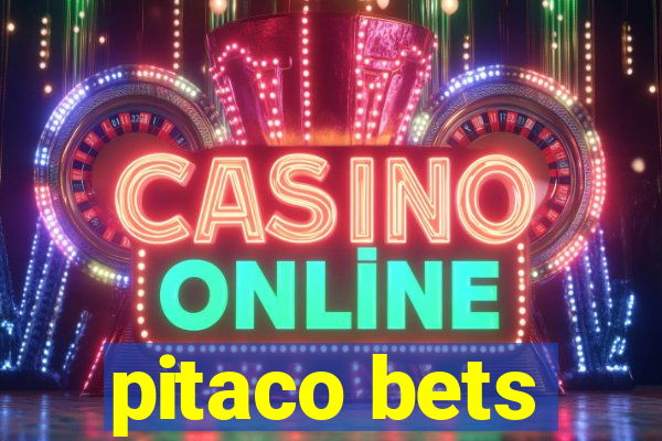 pitaco bets