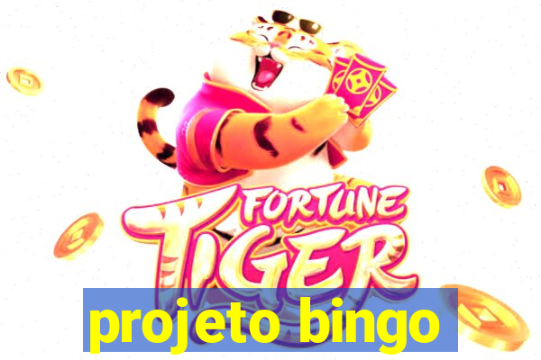 projeto bingo