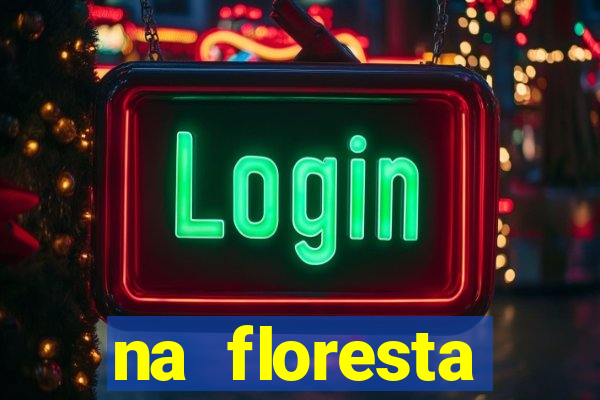 na floresta encantada meme