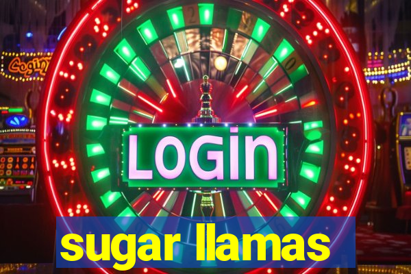 sugar llamas