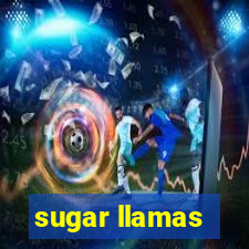 sugar llamas