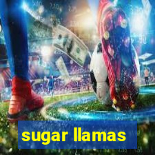 sugar llamas