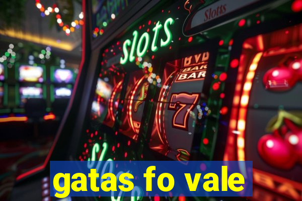 gatas fo vale