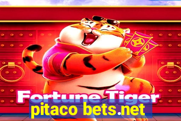 pitaco bets.net