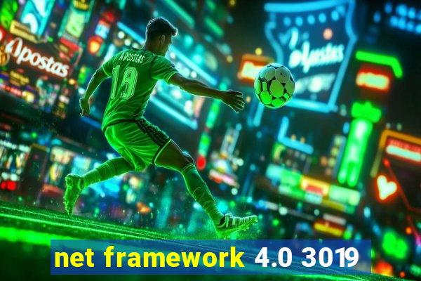 net framework 4.0 3019