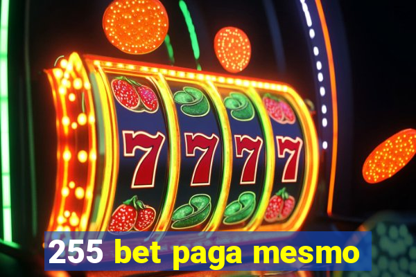 255 bet paga mesmo