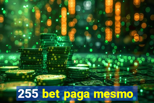 255 bet paga mesmo