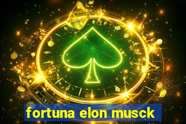 fortuna elon musck