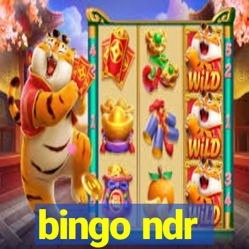 bingo ndr