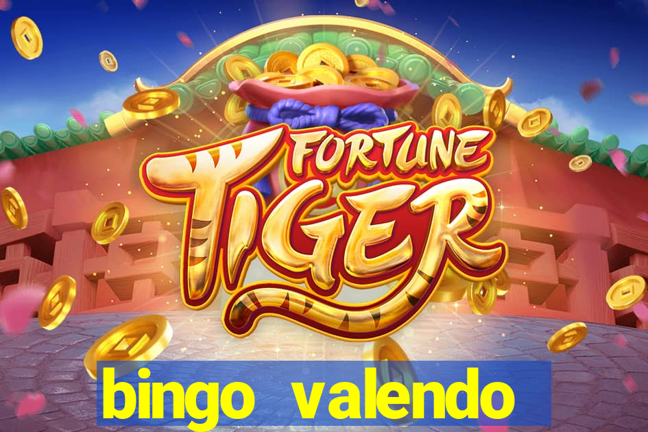 bingo valendo dinheiro online